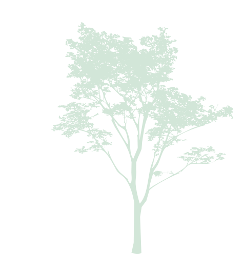 treeimage