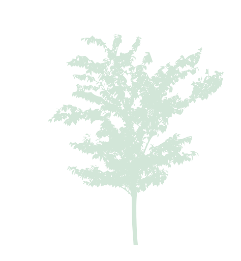 treeimage