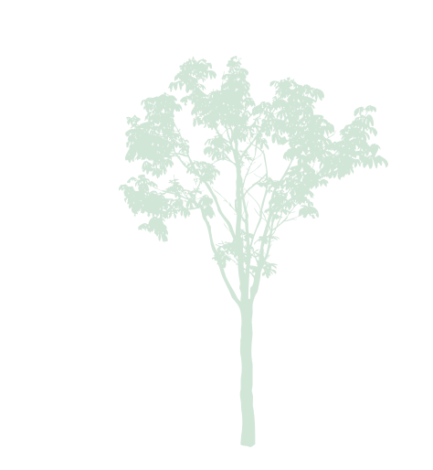 treeimage