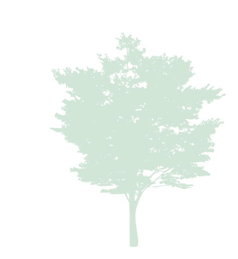 treeimage